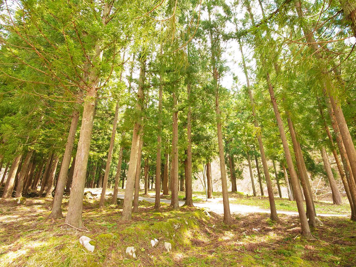 ホテルフレアール和泉大野市 エクステリア 写真